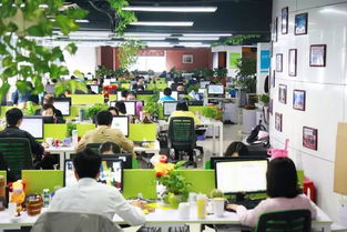 团贷网可靠性与互联网安全服务解析