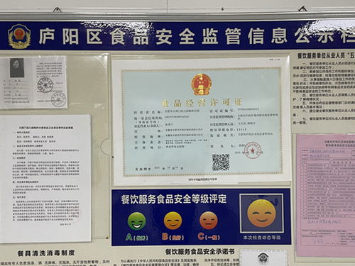 合肥市大西门幼儿园教育集团畅和分园荣获餐饮服务食品安全与网络安全双优殊荣